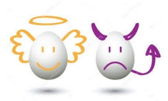 зображення viber 2021-03-11 08-22-58