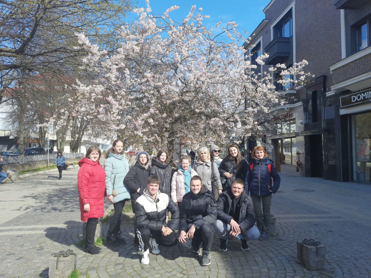 340097499 5414591408642715 2199169911265219967 n